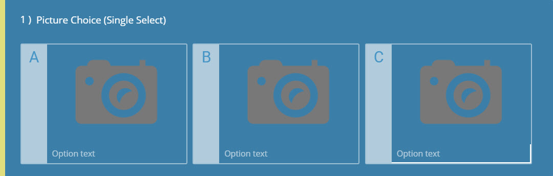 Picture Choice (Single Select) Question