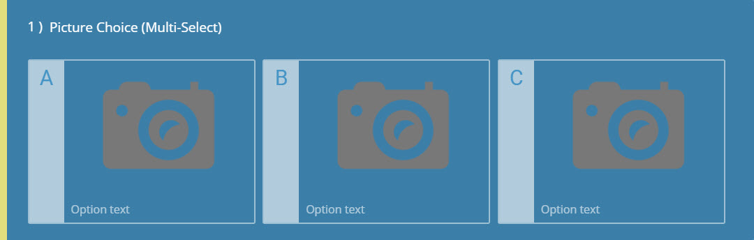 Picture Choice (Multi-Select) Question